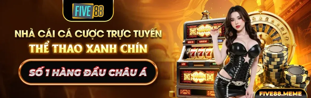 Hình ảnh chính về các câu hỏi thường gặp của kèo nhà cái 5 win