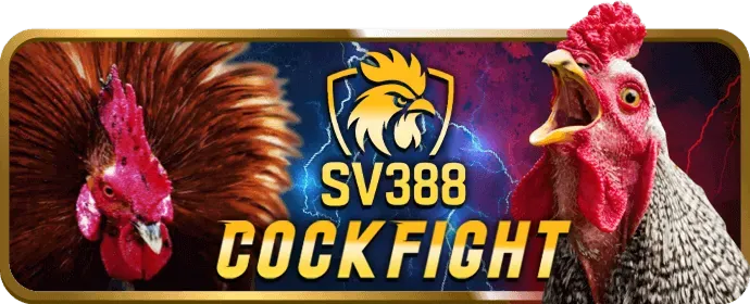 Tìm hiểu Tỷ lệ Kèo tại kèo nhà cái 5 win