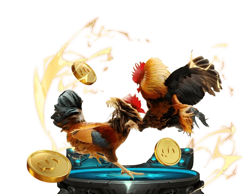 Trang đích được tối ưu hóa